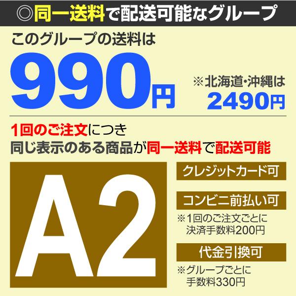 じゃがいも種芋 キタアカリ 2kgの詳細画像3