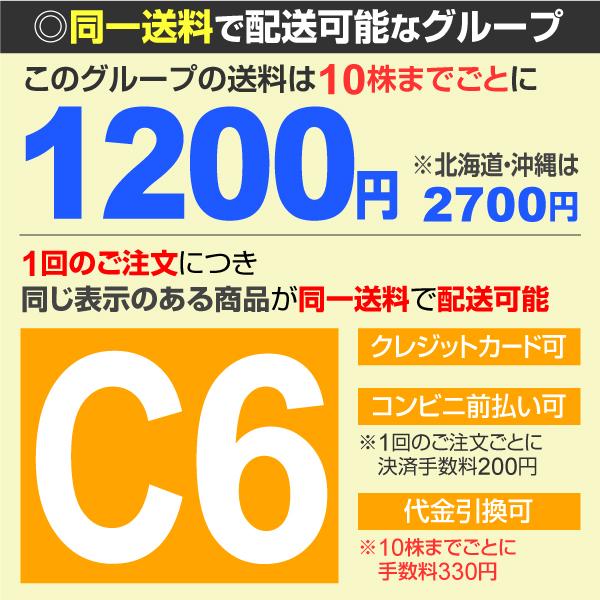 本日価格!! ブドウ 苗木 苗 ナガノパープルPVP 3株 / ぶどう 葡萄 ぶどうの木 ブドウの苗木 果樹苗 国華園 【R1596610698】 (10450円)