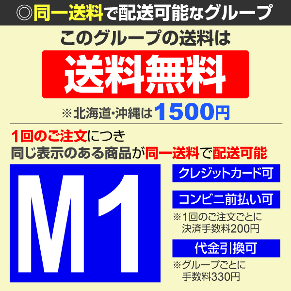 国華園 有用植物 山椒苗 朝倉実サンショウ 1...の詳細画像5