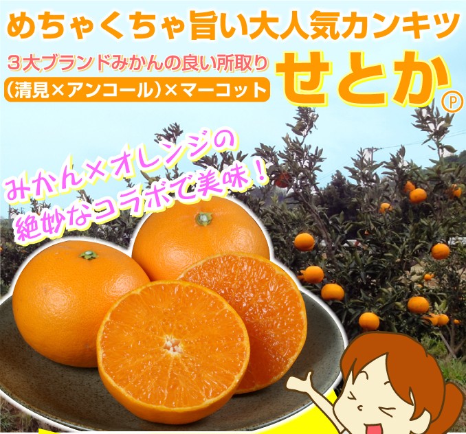 オレンジ せとか
