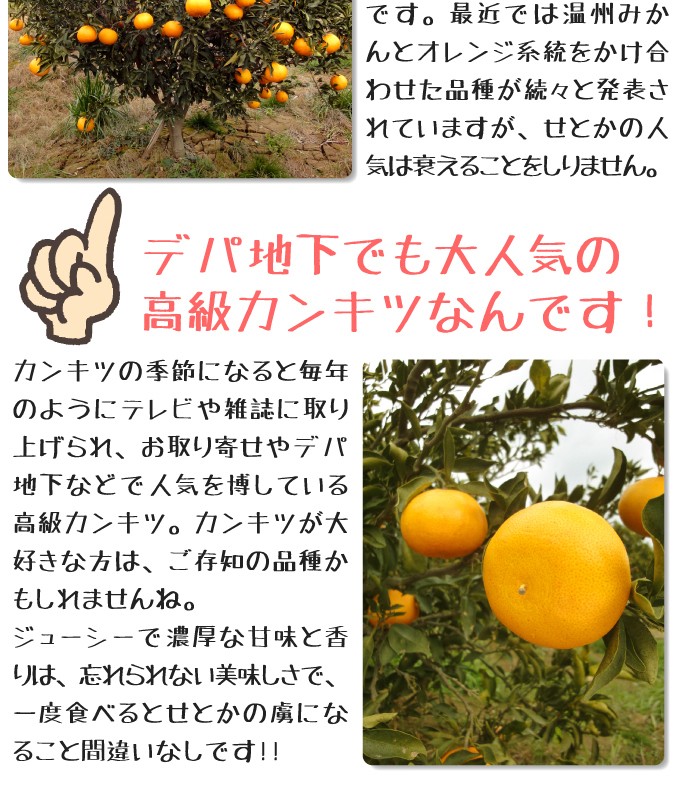 デパ地下でも人気