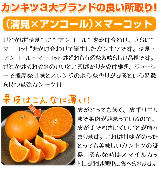 3大ブランドのいいとこどり