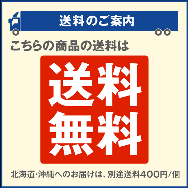 国華園 即納 21V共通バッテリーK01 1個 爆買 関連画像3