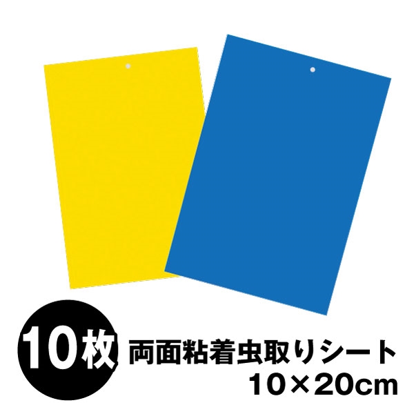 両面粘着虫取りシート　幅10×長さ20cm　10枚｜kokkaen