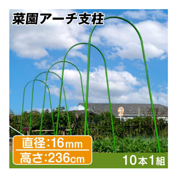 支柱 アーチ 園芸 農業 直径16mm 高さ236cm 10本組 鋼管製 雨除け 菜園アーチ支柱 国華園