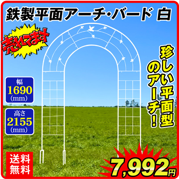 適当な価格 2022 新作 アーチ ガーデンアーチ ローズアーチ バラアーチ 送料無料 鉄製平面アーチ バード 白 1個 幅169 高さ240 アイアン フェンス 庭 玄関 門 つるバラ 薔薇 国華園 utubyo.11joho.biz utubyo.11joho.biz