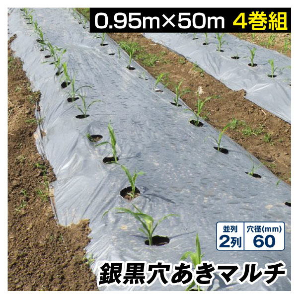 農業用マルチシート 農ポリ 銀黒穴あきマルチ 2列60 0.95×50m 4