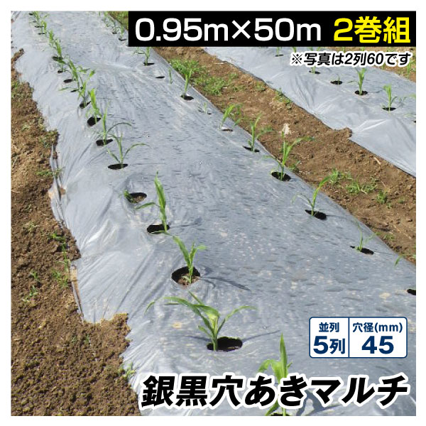 農業用マルチシート 農ポリ 銀黒穴あきマルチ 5列45 0.95×50m 2
