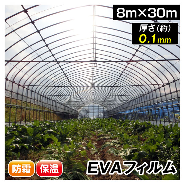 ビニール 温室フィルム EVAフィルム 8m×30m 1巻 被覆資材 農業用フィルム 国華園｜kokkaen
