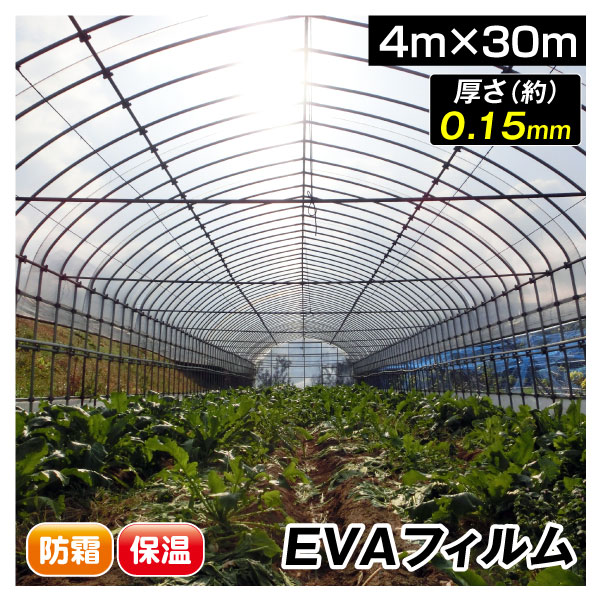 ビニール フィルム EVAフィルム厚型 4m×30m 1巻 被覆資材 農業用フィルム 国華園｜kokkaen