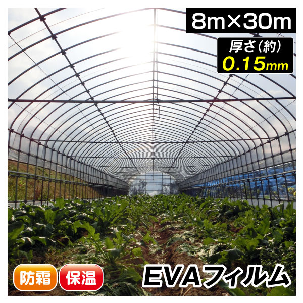 国華園 ビニール フィルム 温室フィルム EVAフィルム厚型 8m×30m 1巻