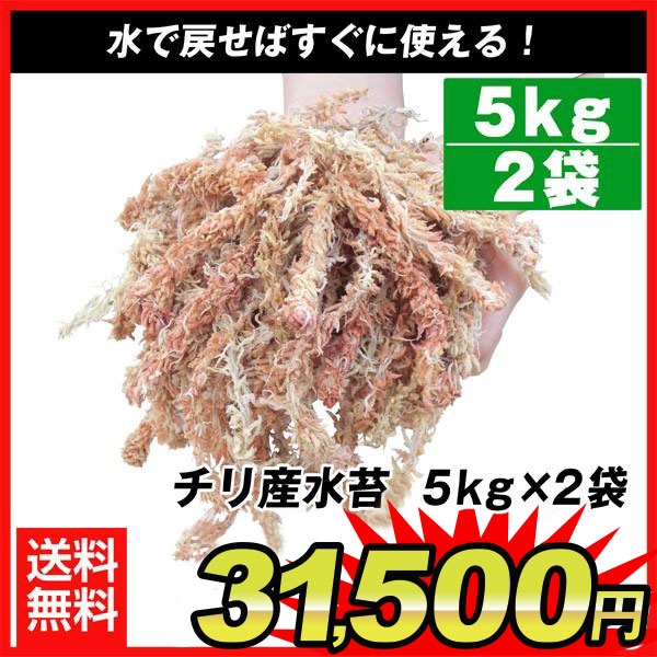 水苔 水ごけ 10kg チリ産 水苔 5kg×2袋1組（合計約10kg） 盆栽 菊 蘭 キク ラン 園芸 保湿 乾燥防止 bonsai 国華園 ＊新品未使用