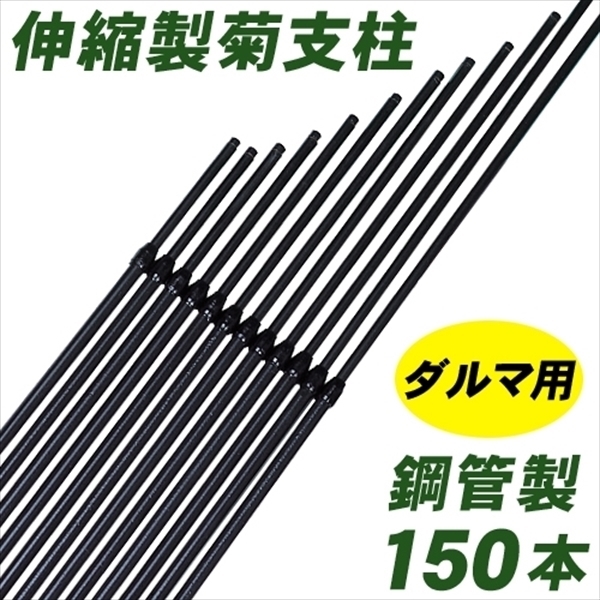 支柱 鋼管製ダルマ菊支柱 150本1箱 菊栽培用 国華園 国華園