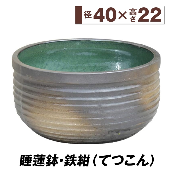 睡蓮鉢 鉢の人気商品・通販・価格比較 - 価格.com