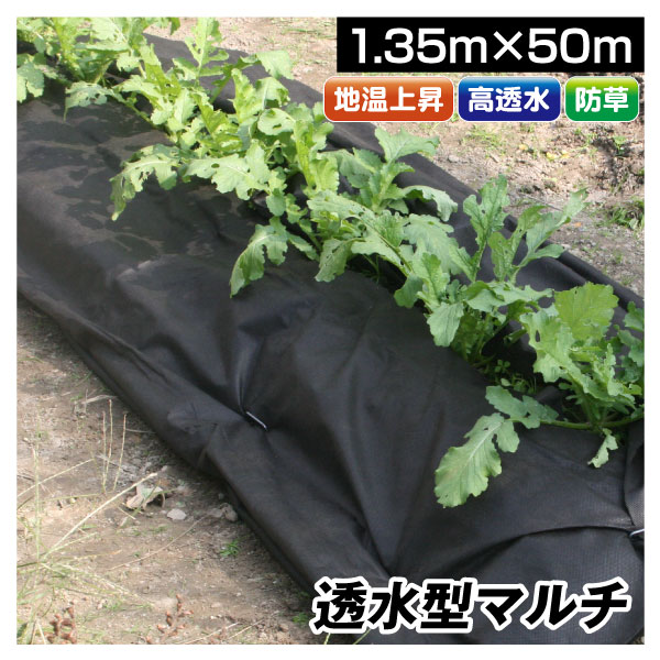 農業用マルチシート 穴あき透水マルチ 1列60 0.95×50m 2巻1組