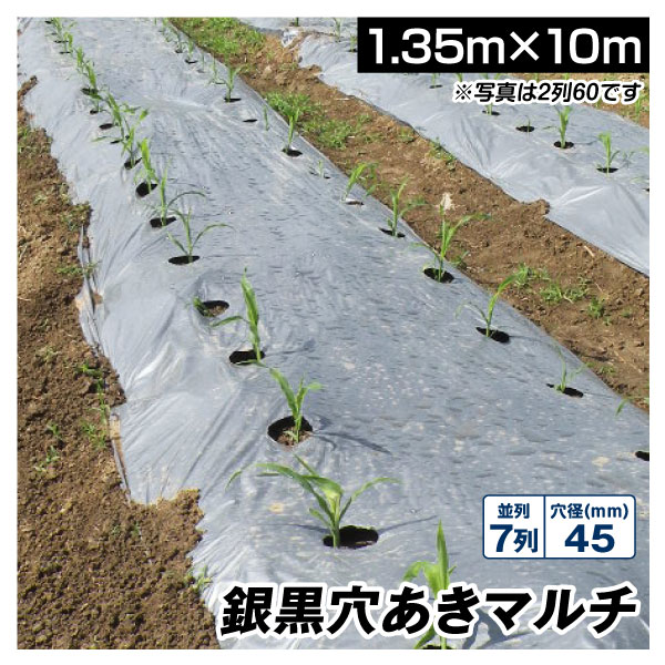 農業用マルチシート 農ポリ 銀黒穴あきマルチ 7列45 1.35×10m 1枚 少量 使い切り 農用 マルチング 被覆資材 ポリエチレン 国華園