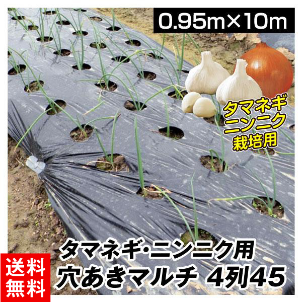 農業用マルチシート マルチング 農ポリ タマネギ・ニンニク用 穴あきマルチ 4列45 0.95×10m 1巻 送料無料 少量 使い切り 農用 被覆  ポリエチレン 国華園 : s24299 : 花と緑 国華園 - 通販 - Yahoo!ショッピング