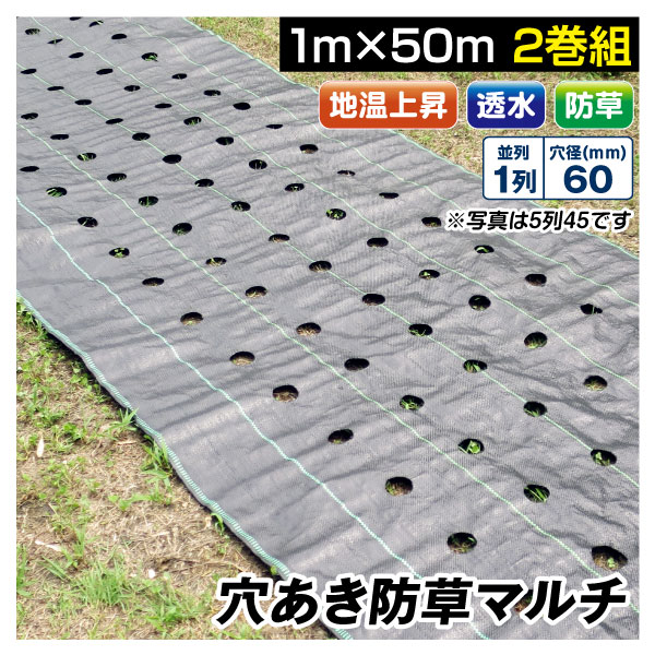 農業用マルチシート 穴あき防草マルチ 1列60 1×50m 2巻1組 農用 マルチング 防草シート 被覆資材 ポリプロピレン 防草 透水 地温上昇  国華園 : s24759 : 花と緑 国華園 - 通販 - Yahoo!ショッピング