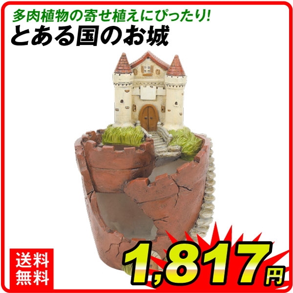 日本最大のブランド 卸売 鉢 植木鉢 ポリ製 多肉植物 寄せ植え かわいい ポリ製鉢 とある国のお城 1個 国華園 salondelnuncamas.org salondelnuncamas.org