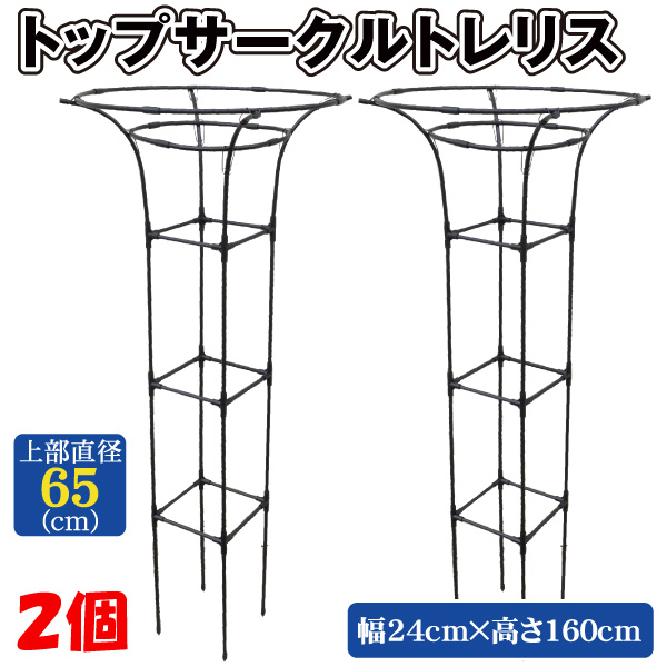終了【未使用】園芸用トレリス2個セット オベリスク トレリス 支柱 トップサークルトレリス 2個 つる性 観葉