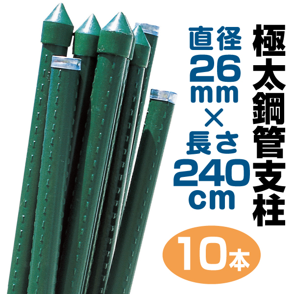 【最終値下げ】 沖縄オオハマボウ 索/塊根/イボ【氣まぐれセール】 1_fb2567b2-e3cd-4d60-8964-