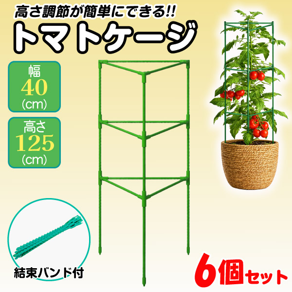 オベリスク 支柱 園芸 トマトケージ 6個セット つる性 観葉植物 誘引