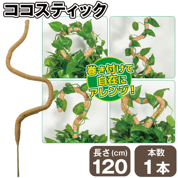 国華園 ココスティック 120cm 1本 ココナッツ ココヤシ 繊維 曲げ