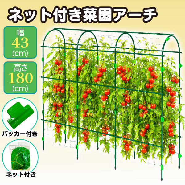 オリジナル 園芸用 イボ付き 鋼管 支柱 100本入り 1.6×120 園芸 支柱 Φ11mm×120cm 100本 イボ付き鋼管製 個人宅OK イボ支柱 内