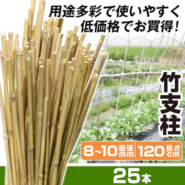 園芸 支柱 Φ8mm×90cm 100本 イボ付き鋼管製 個人宅OK イボ支柱 内