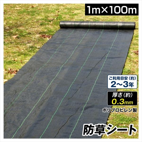 有名なブランド ブランドのギフト 防草シート 1m×100m 農用シート 草よけシート 除草シート 雑草防止 耐用年数 2-3年 厚さ0.3mm しっかり雑草防ぐくん 砂利下 人工芝下 国華園 salondelnuncamas.org salondelnuncamas.org