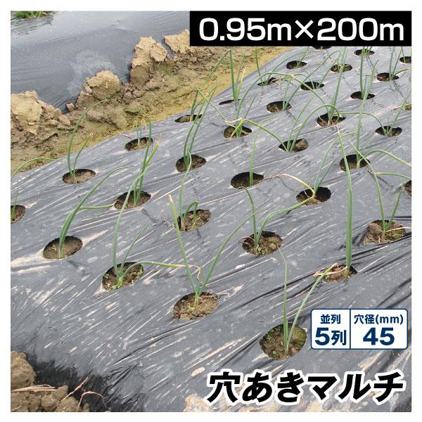農業用マルチシート 農ポリ 黒穴あきマルチ5列45 0.95×200ｍ 1巻1組 農用 マルチ マルチング 被覆資材 ポリエチレン 国華園 | Kmaster