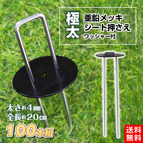 農業用マルチシート 農ポリ 黒穴あきマルチ 5列45 0.95×50m 4巻