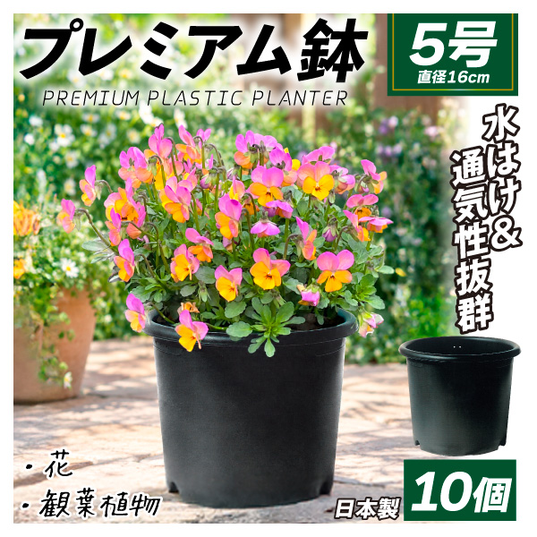 国華園 プレミアム鉢 5号 10個 日本製 プラスチック 上質 ブラック