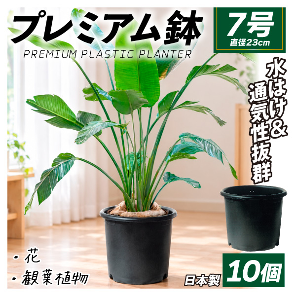 国華園 プレミアム鉢 7号 10個 日本製 プラスチック 上質 ブラック