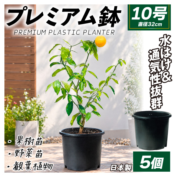国華園 プレミアム鉢 10号 5個 日本製 プラスチック 上質 ブラック