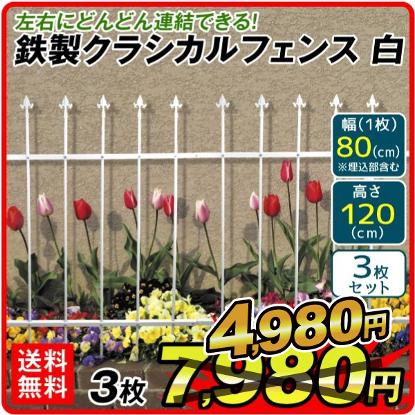 最も信頼できる 品数豊富 ガーデンフェンス 3枚組 鉄製 組立式 クラシカルフェンス 白 幅234 高さ120cm ホワイト 送料無料 アイアン 柵 仕切り 庭 公園 花壇 国華園 kentaro.sakura.ne.jp kentaro.sakura.ne.jp