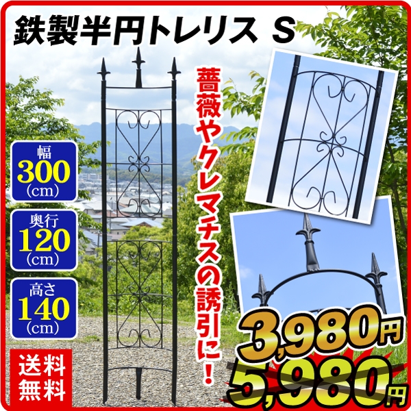 好評 お求めやすく価格改定 トレリスフェンス ガーデンフェンスバラ クレマチス 誘引 鉄製半円トレリスS 1個 幅30cm 高さ140cm 奥行12cm ガーデニング アイアン トレリスバラ 国華園 pfsa131.com pfsa131.com