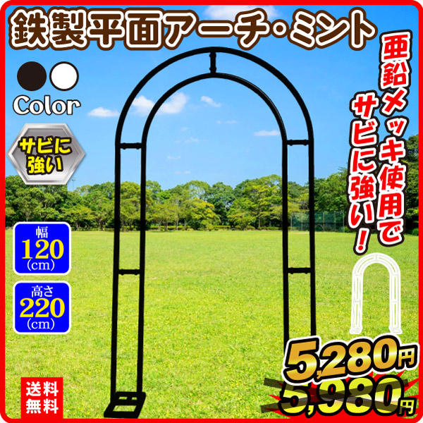 鉄製ミント