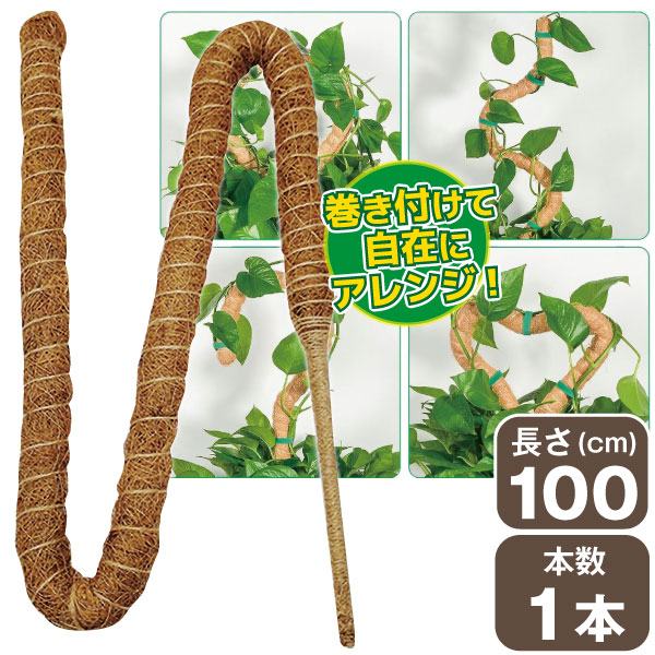 農業資材 ガーデニング用品 ヤシ 鉢」の人気商品一覧 | 安い商品