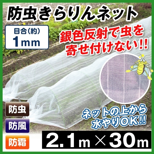 防虫ネット 防虫きらりんネット(1mm) 2.1m×30m 1巻組 家庭菜園