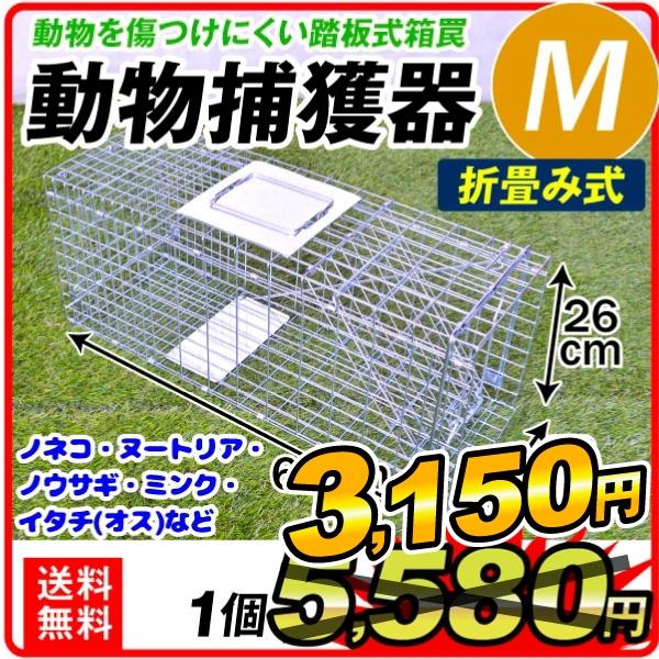 期間限定60％OFF! 在庫処分大特価 捕獲器 捕獲機 アニマルトラップ 動物捕獲器M 1個 トラップ 駆除 捕獲 踏板式 動物 国華園 utubyo.11joho.biz utubyo.11joho.biz