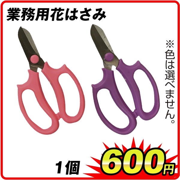 花と緑 国華園業務用花はさみ 1個 ハサミ 170mm ガーデニング用 国華園 Scs010 Sale 100 Off