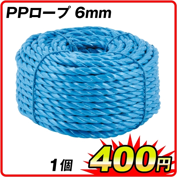 PPロープ 6ｍｍ 1個 ロープ 園芸 PP製 20m 国華園 SCS100