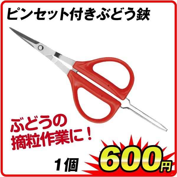 ピンセット付ぶどう鋏 1個 : 花と緑 国華園 - 通販 - Yahoo!ショッピング
