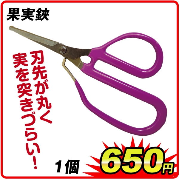 ʎ@P