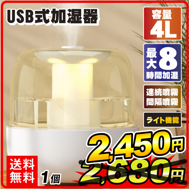国華園 USB電源式加湿器4L 1個 加湿器 乾燥対策 噴霧 ライト付き 大