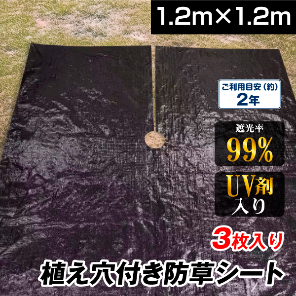 防草シート 高密度・抗菌剤入り1.2m×225m (耐久性4〜6年) 75m×3 植え穴付防草シート1.2m×1.2m 3枚組 果樹 農園 植え穴付き 切れ目 UV剤