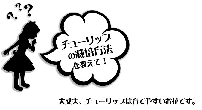 Yahoo チューリップ特集 総合園芸店 国華園のインターネット通信販売