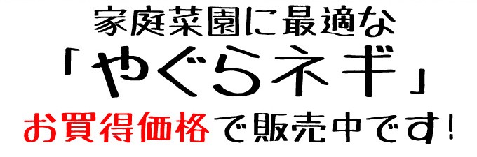 家庭菜園に最適