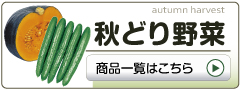 秋どり野菜